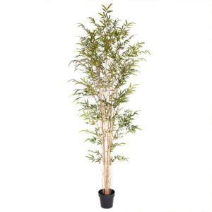 Kunst Bamboe – ↕ 120 of ↕ 210 cm